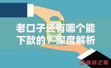 老口子还有哪个能下款的？深度解析当前可靠借款渠道