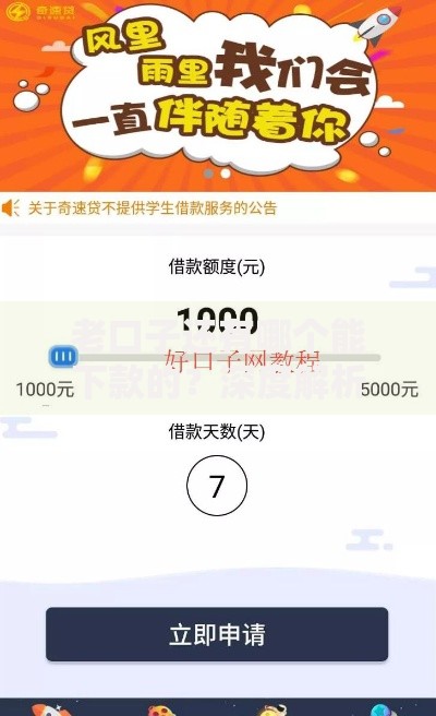 老口子还有哪个能下款的？深度解析当前可靠借款渠道