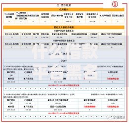 什么借款平台黑名单也可以借？深度解析黑户贷款渠道与风险
