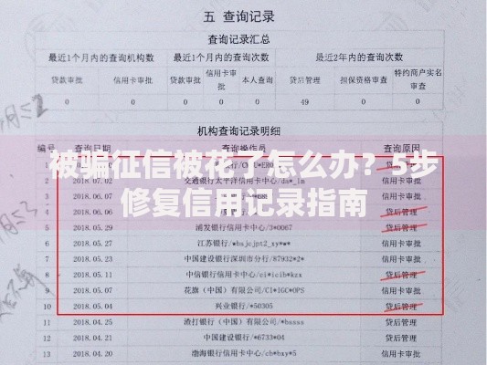 被骗征信被花了怎么办？5步修复信用记录指南