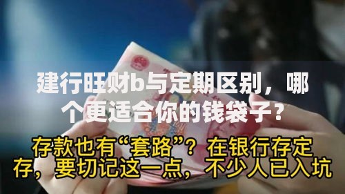 建行旺财b与定期区别，哪个更适合你的钱袋子？