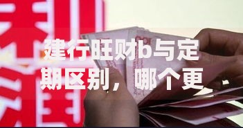 建行旺财b与定期区别，哪个更适合你的钱袋子？