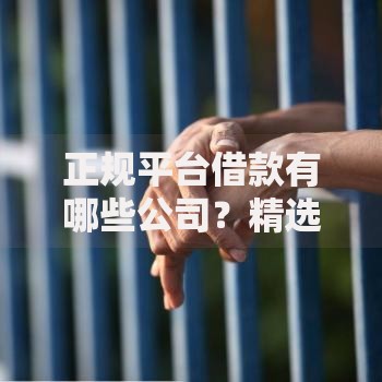 正规平台借款有哪些公司？精选安全可靠的借贷平台推荐
