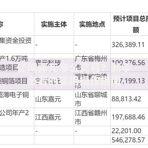 亿网嘉元怎么交易？新手必看的实用操作指南