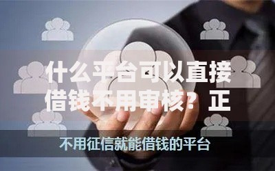 什么平台可以直接借钱不用审核？正规渠道与风险解析