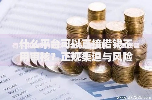 什么平台可以直接借钱不用审核？正规渠道与风险解析