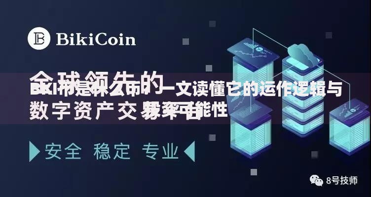 BKI币是什么币？一文读懂它的运作逻辑与投资可能性