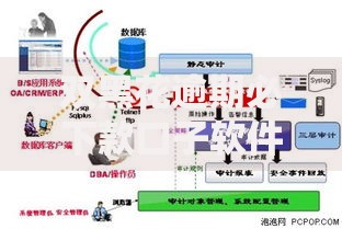 双黑花逾期必下款口子软件：真实审核机制与风险解析