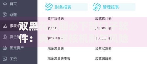 双黑花逾期必下款口子软件：真实审核机制与风险解析