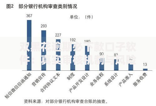双黑花逾期必下款口子软件：真实审核机制与风险解析