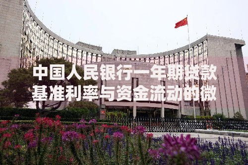 中国人民银行一年期贷款基准利率与资金流动的微妙关系