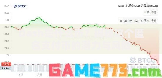 Dash是什么币？揭秘这个匿名支付币的潜力与风险