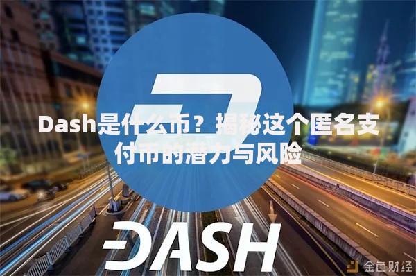 Dash是什么币？揭秘这个匿名支付币的潜力与风险