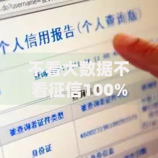 不看大数据不看征信100%通过率的网贷真相与风险全解析