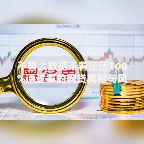不看大数据不看征信100%通过率的网贷真相与风险全解析