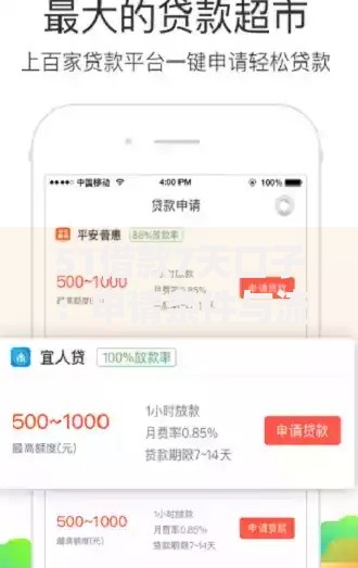 51借款7天口子：申请条件与流程解析