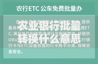 农业银行批量转换什么意思？一文搞懂操作流程与注意事项