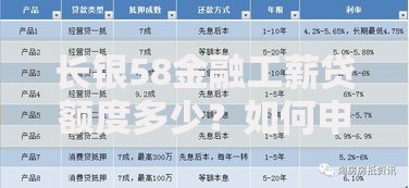 长银58金融工薪贷额度多少？如何申请？条件解析