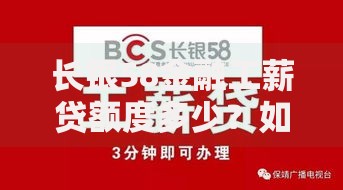 长银58金融工薪贷额度多少？如何申请？条件解析