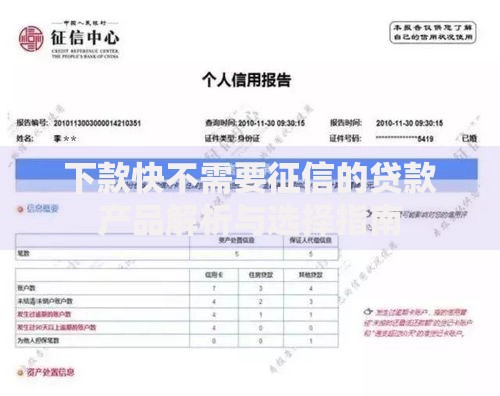 下款快不需要征信的贷款产品解析与选择指南