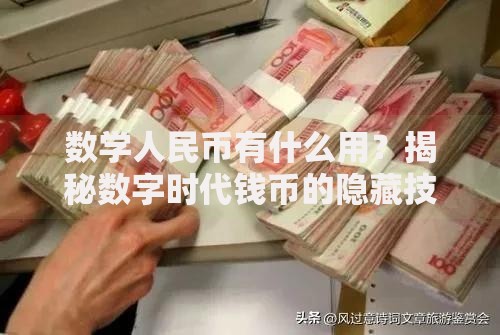 数学人民币有什么用？揭秘数字时代钱币的隐藏技能