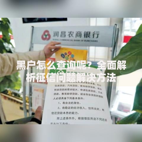 黑户怎么查询呢？全面解析征信问题解决方法