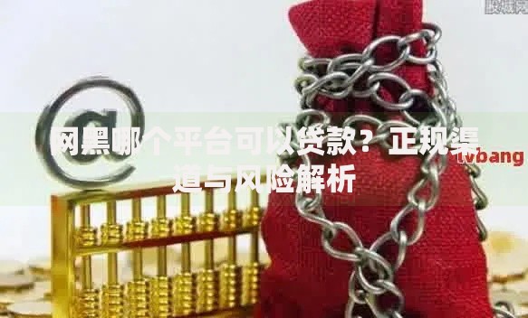 网黑哪个平台可以贷款？正规渠道与风险解析