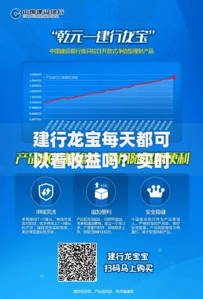 建行龙宝每天都可以看收益吗？实时到账吗？收益查看规则解析！