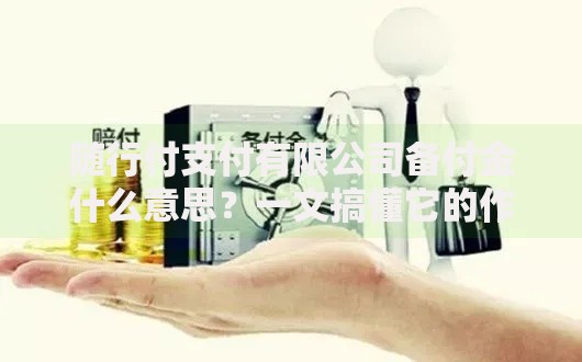 随行付支付有限公司备付金什么意思？一文搞懂它的作用和风险
