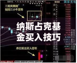纳斯占克基金买入技巧实战攻略：轻松掌握低买高卖时机