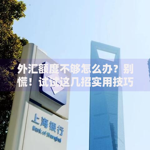 外汇额度不够怎么办？别慌！试试这几招实用技巧
