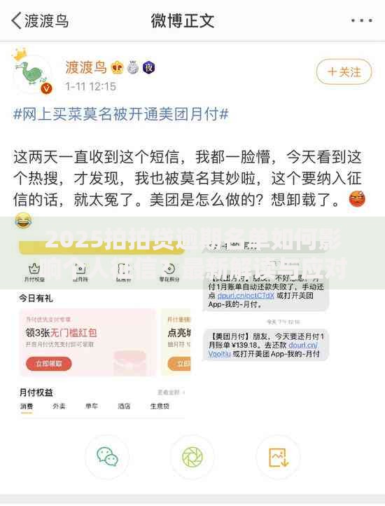 2025拍拍贷逾期名单如何影响个人征信？最新解读与应对策略