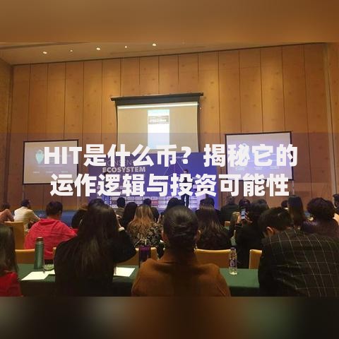 HIT是什么币？揭秘它的运作逻辑与投资可能性