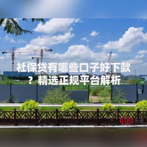 社保贷有哪些口子好下款？精选正规平台解析