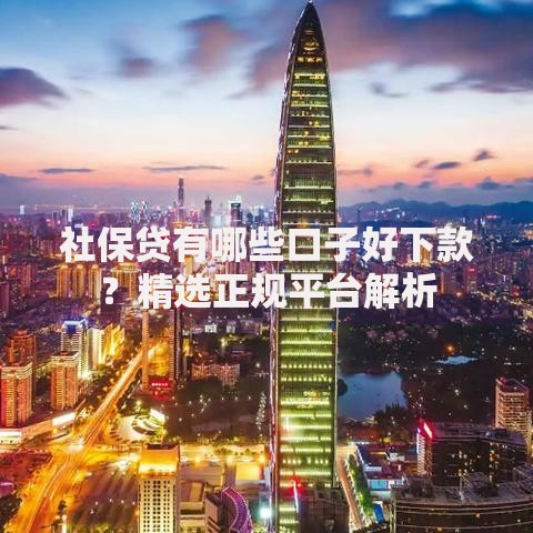 社保贷有哪些口子好下款？精选正规平台解析
