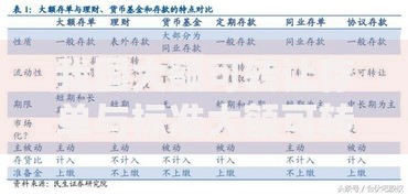 我国大额可转让存单与标准大额可转让存单的区别：核心差异与市场影响分析