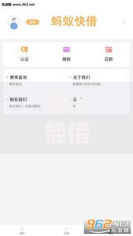 网上能借钱的口子有哪些？如何选择安全可靠的借贷渠道