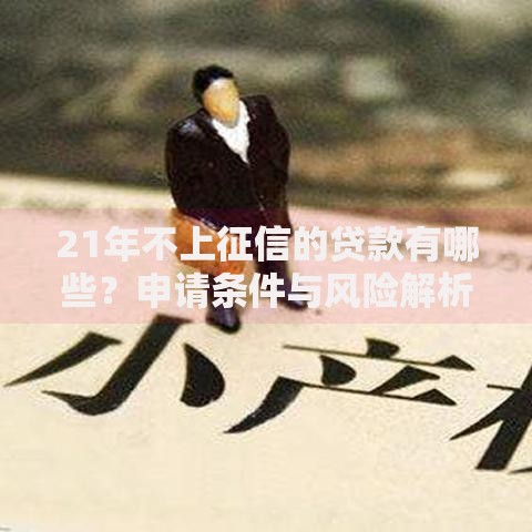 21年不上征信的贷款有哪些？申请条件与风险解析