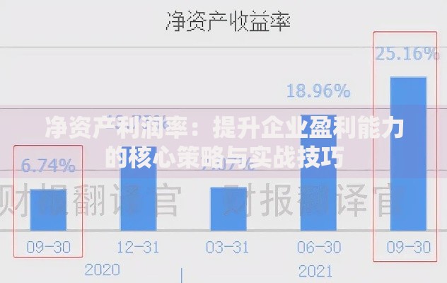 净资产利润率：提升企业盈利能力的核心策略与实战技巧