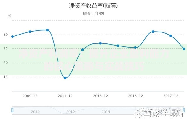 净资产利润率：提升企业盈利能力的核心策略与实战技巧