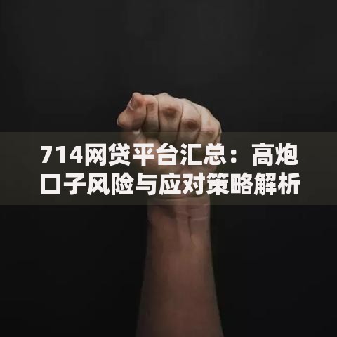 714网贷平台汇总：高炮口子风险与应对策略解析