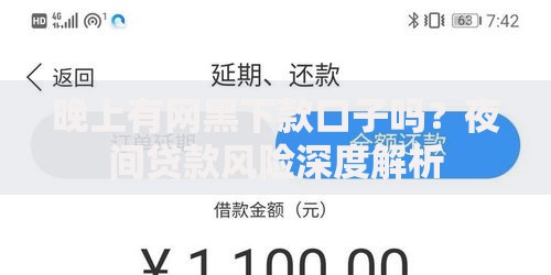 晚上有网黑下款口子吗？夜间贷款风险深度解析