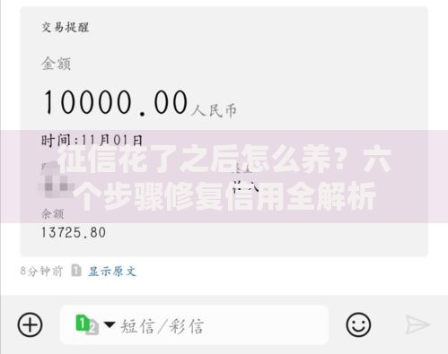 征信花了之后怎么养？六个步骤修复信用全解析
