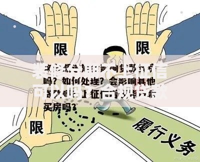 装修分期不上征信可以吗？合规贷款方案与风险解析