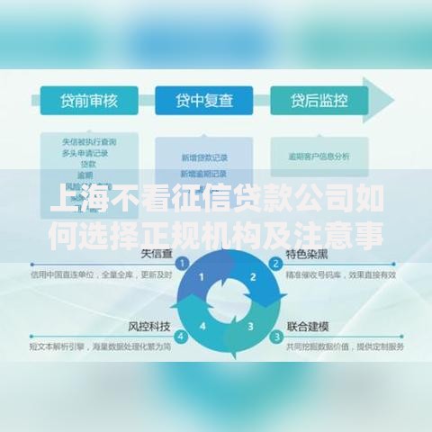 上海不看征信贷款公司如何选择正规机构及注意事项