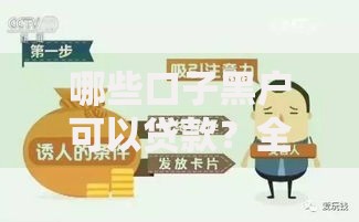 哪些口子黑户可以贷款？全面解析黑户贷款渠道及注意事项