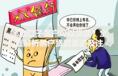 哪些口子黑户可以贷款？全面解析黑户贷款渠道及注意事项