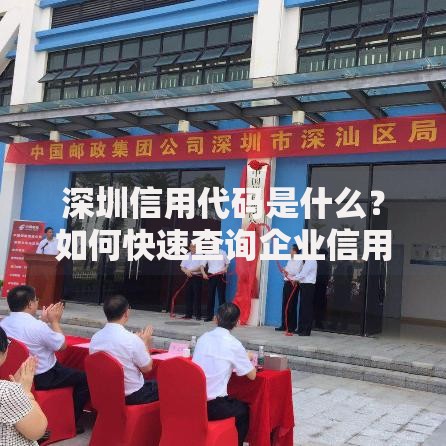 深圳信用代码是什么？如何快速查询企业信用编码