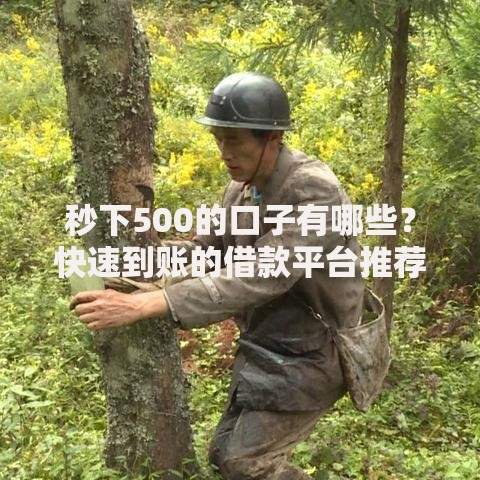 秒下500的口子有哪些？快速到账的借款平台推荐
