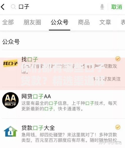你们都有哪些口子贷款？精选渠道解析与申请指南